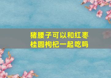 猪腰子可以和红枣桂圆枸杞一起吃吗