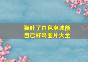 猫吐了白色泡沫能自己好吗图片大全