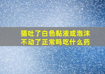 猫吐了白色黏液或泡沫不动了正常吗吃什么药