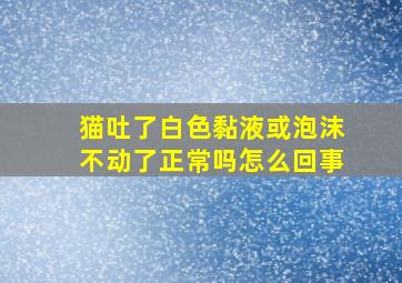 猫吐了白色黏液或泡沫不动了正常吗怎么回事