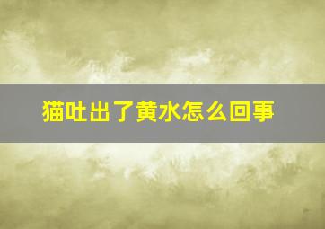 猫吐出了黄水怎么回事