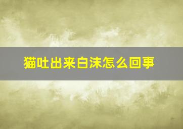 猫吐出来白沫怎么回事