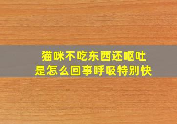 猫咪不吃东西还呕吐是怎么回事呼吸特别快