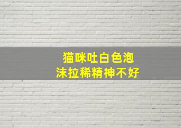 猫咪吐白色泡沫拉稀精神不好