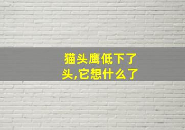 猫头鹰低下了头,它想什么了