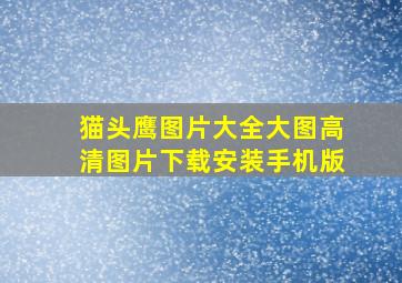 猫头鹰图片大全大图高清图片下载安装手机版