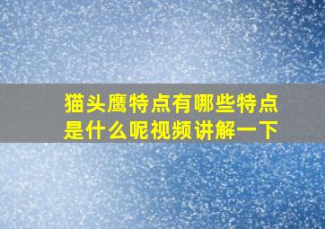 猫头鹰特点有哪些特点是什么呢视频讲解一下