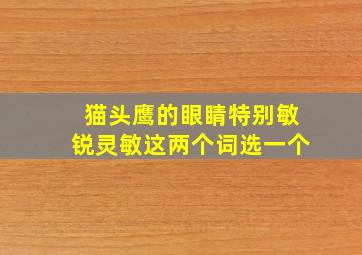 猫头鹰的眼睛特别敏锐灵敏这两个词选一个