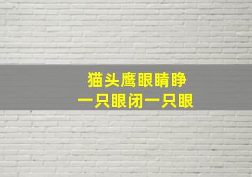 猫头鹰眼睛睁一只眼闭一只眼