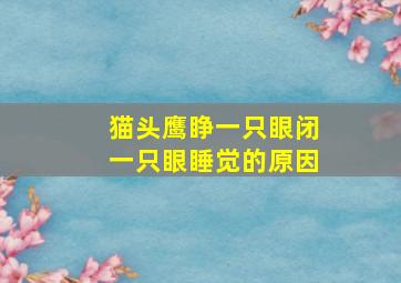 猫头鹰睁一只眼闭一只眼睡觉的原因