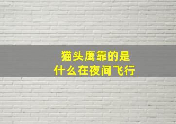 猫头鹰靠的是什么在夜间飞行