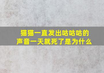 猫猫一直发出咕咕咕的声音一天就死了是为什么