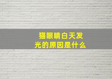 猫眼睛白天发光的原因是什么