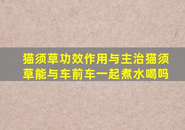 猫须草功效作用与主治猫须草能与车前车一起煮水喝吗