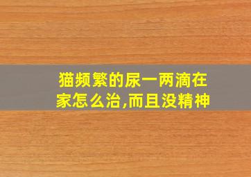 猫频繁的尿一两滴在家怎么治,而且没精神