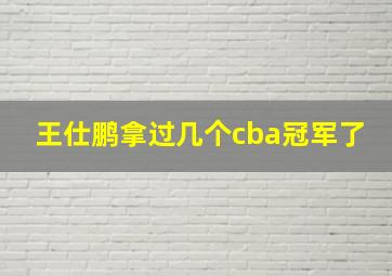 王仕鹏拿过几个cba冠军了