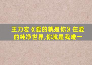 王力宏《爱的就是你》在爱的纯净世界,你就是我唯一