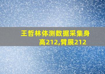 王哲林体测数据采集身高212,臂展212