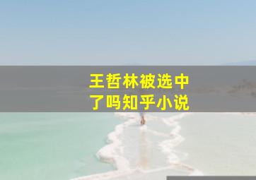 王哲林被选中了吗知乎小说