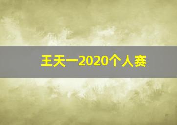 王天一2020个人赛