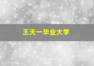 王天一毕业大学