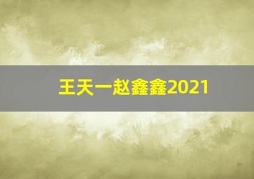 王天一赵鑫鑫2021