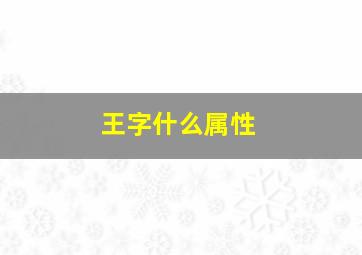 王字什么属性