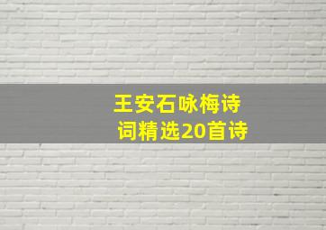 王安石咏梅诗词精选20首诗