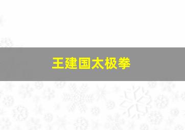 王建国太极拳