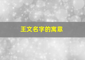 王文名字的寓意