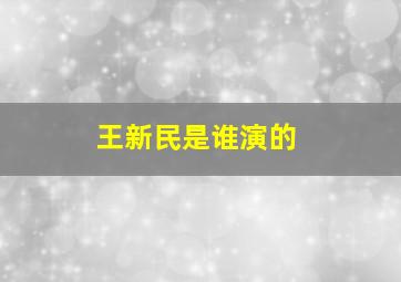 王新民是谁演的