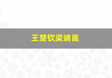 王楚钦梁靖崑