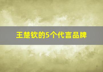 王楚钦的5个代言品牌