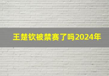 王楚钦被禁赛了吗2024年