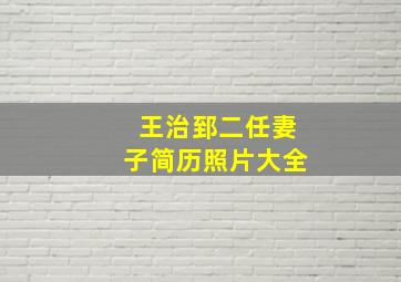 王治郅二任妻子简历照片大全