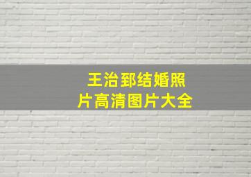 王治郅结婚照片高清图片大全