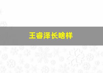 王睿泽长啥样