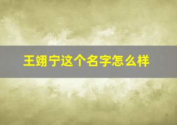 王翊宁这个名字怎么样