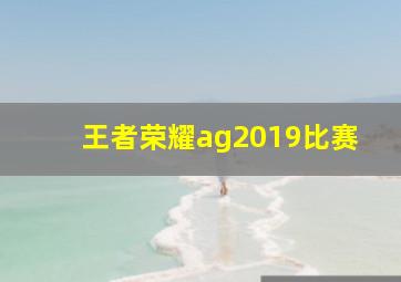 王者荣耀ag2019比赛