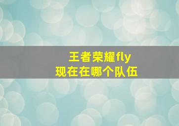 王者荣耀fly现在在哪个队伍