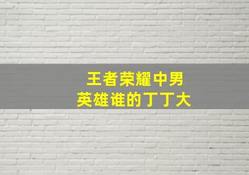 王者荣耀中男英雄谁的丁丁大