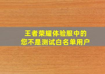 王者荣耀体验服中的您不是测试白名单用户