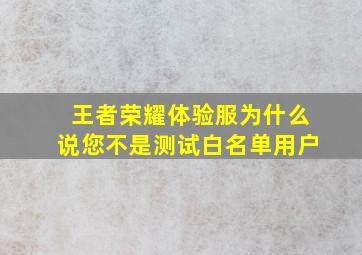 王者荣耀体验服为什么说您不是测试白名单用户