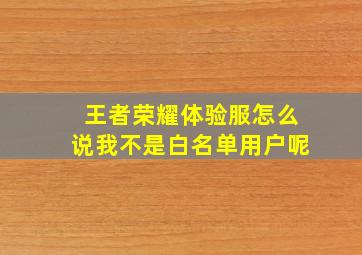 王者荣耀体验服怎么说我不是白名单用户呢