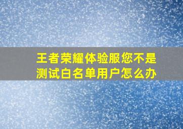 王者荣耀体验服您不是测试白名单用户怎么办