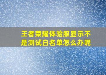 王者荣耀体验服显示不是测试白名单怎么办呢