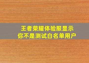 王者荣耀体验服显示你不是测试白名单用户