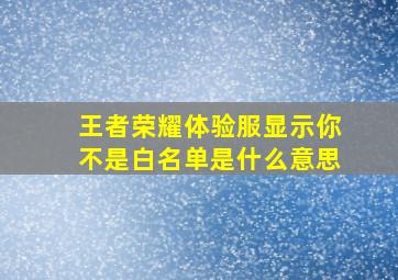 王者荣耀体验服显示你不是白名单是什么意思