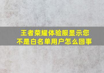 王者荣耀体验服显示您不是白名单用户怎么回事