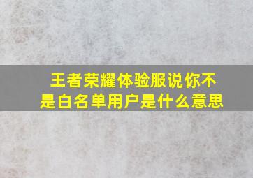 王者荣耀体验服说你不是白名单用户是什么意思